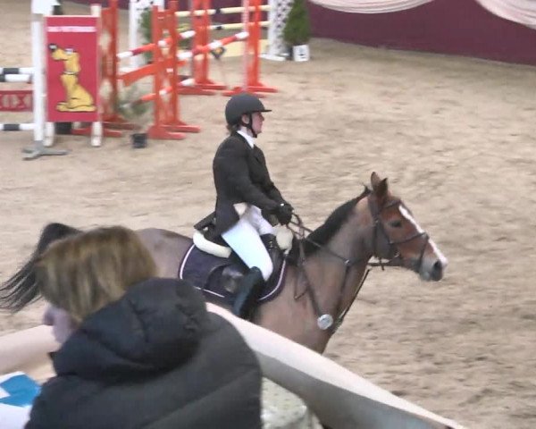 Reitturnier Eppelheim 2016