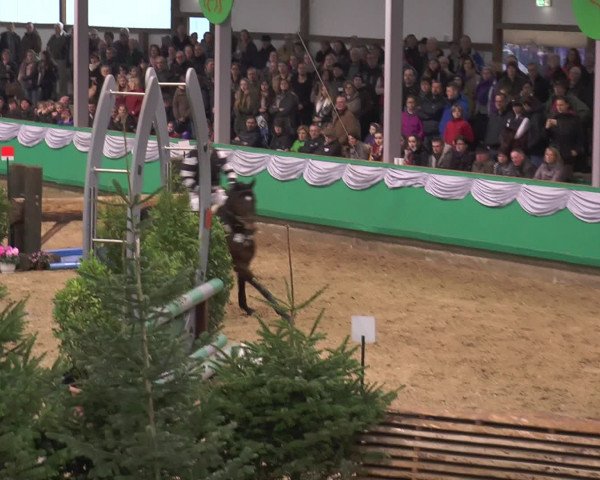CSN Gahlen 2016
