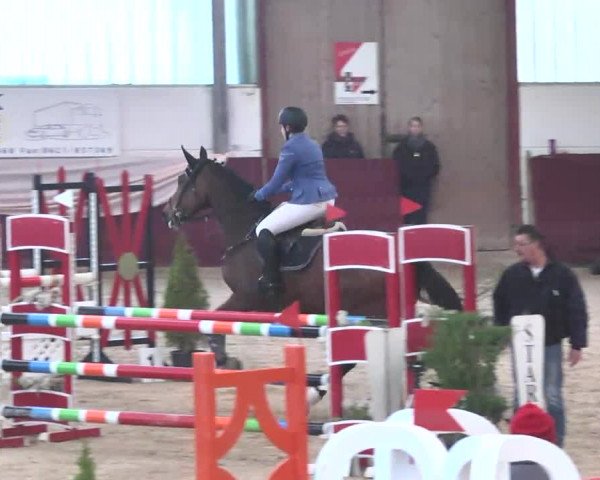 Reitturnier Eppelheim 2016