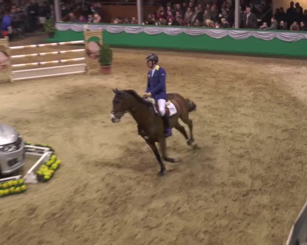 CSN Gahlen 2016