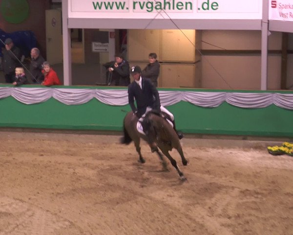 CSN Gahlen 2016