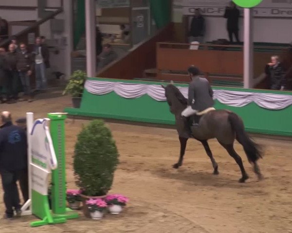 CSN Gahlen 2016