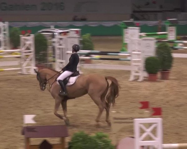 CSN Gahlen 2016