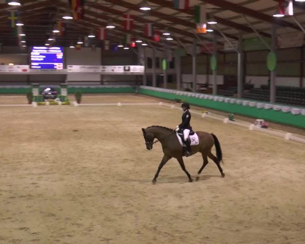 CSN Gahlen 2016
