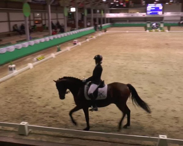 CSN Gahlen 2016