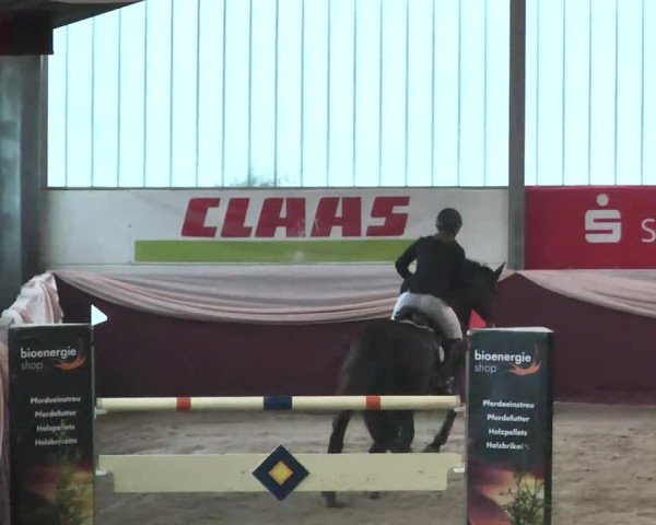 Reitturnier Eppelheim 2016