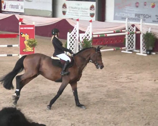 Reitturnier Eppelheim 2016