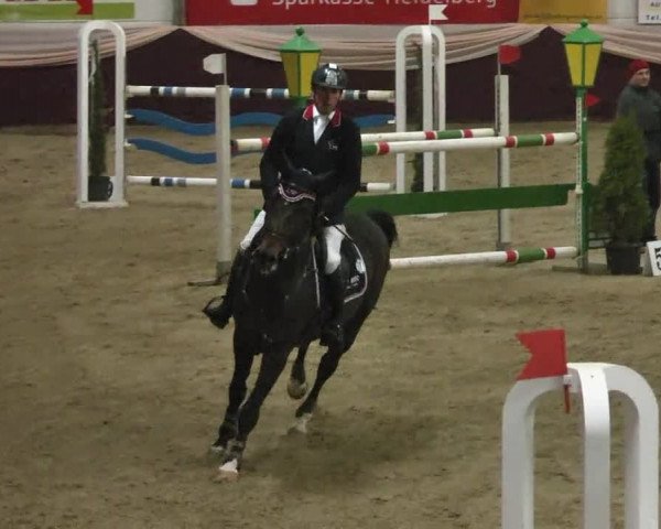Reitturnier Eppelheim 2016