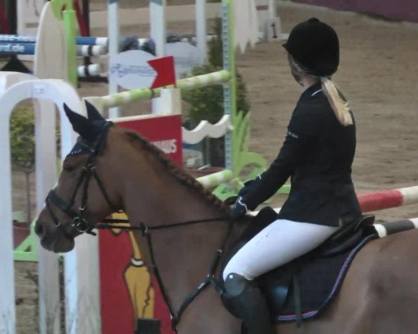 Reitturnier Eppelheim 2016