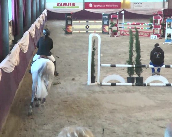 Reitturnier Eppelheim 2016