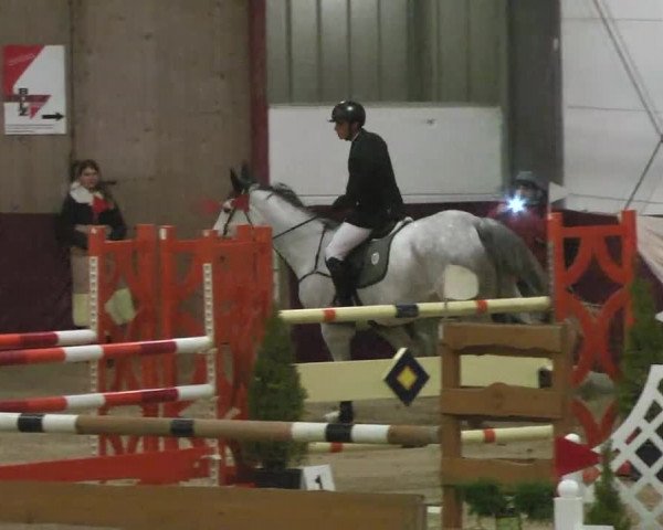 Reitturnier Eppelheim 2016