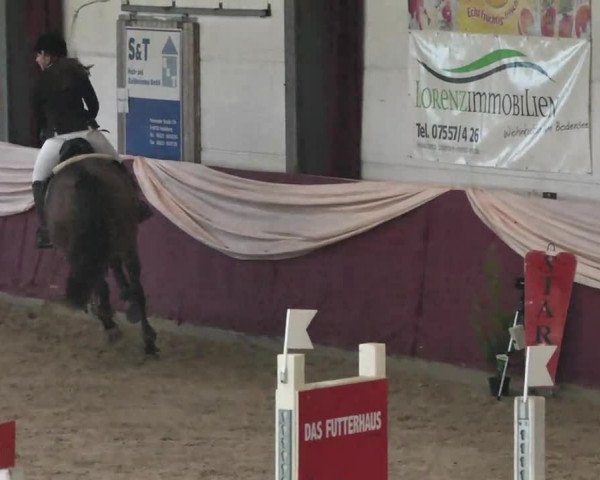 Reitturnier Eppelheim 2016