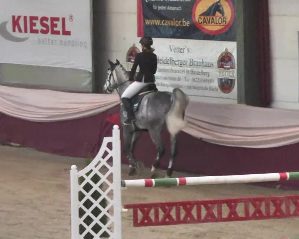 Reitturnier Eppelheim 2016