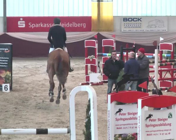 Reitturnier Eppelheim 2016
