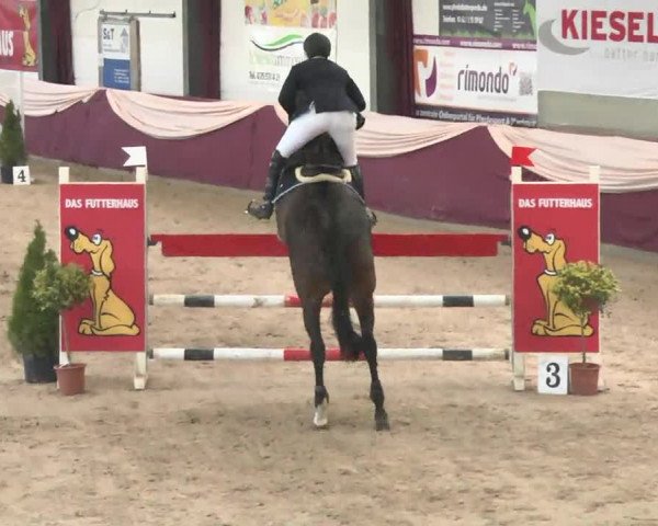 Reitturnier Eppelheim 2016