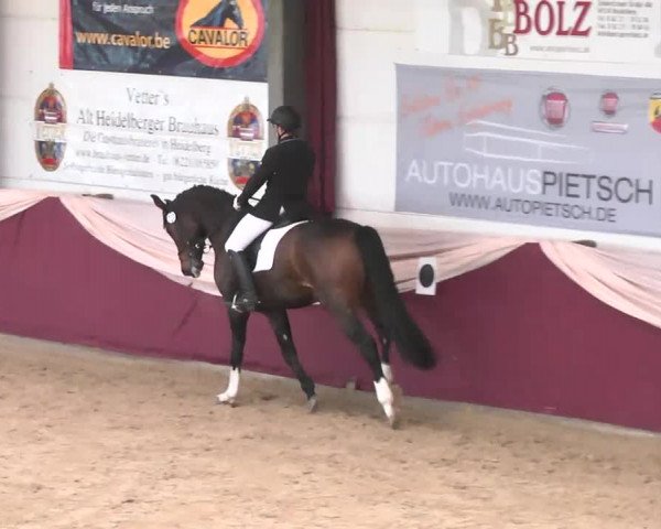 Reitturnier Eppelheim 2016