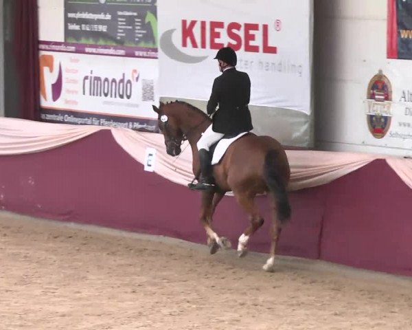 Reitturnier Eppelheim 2016