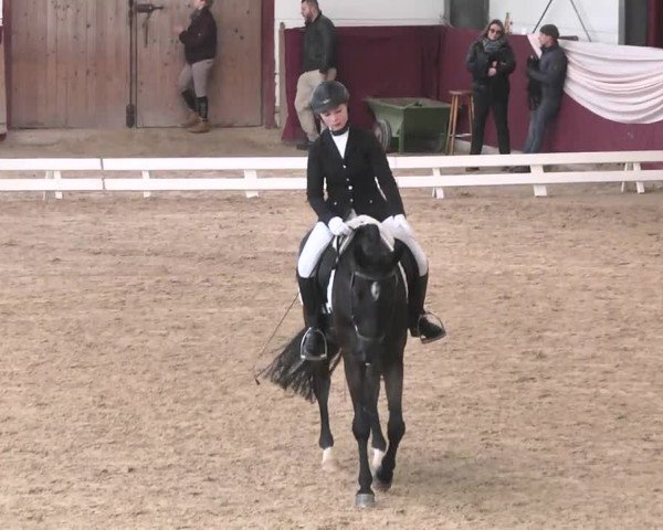 Reitturnier Eppelheim 2016