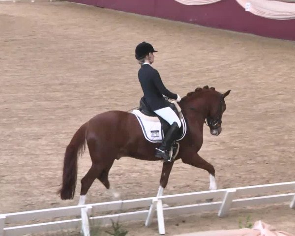 Reitturnier Eppelheim 2016