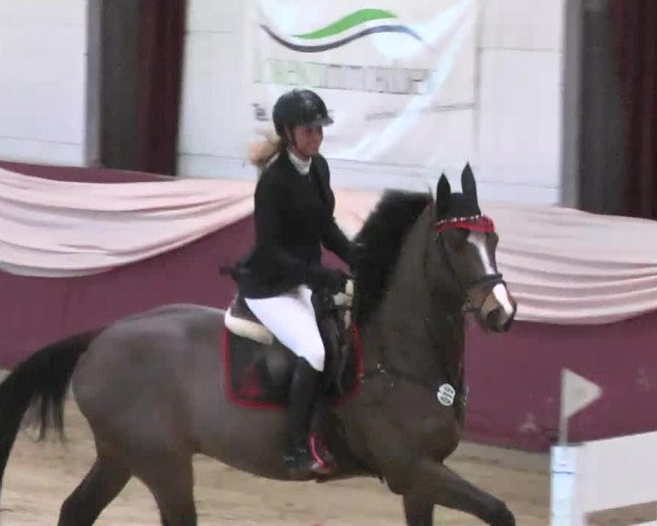 Reitturnier Eppelheim 2016