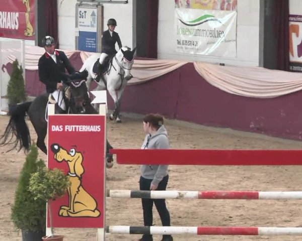 Reitturnier Eppelheim 2016