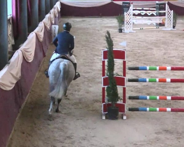 Reitturnier Eppelheim 2016