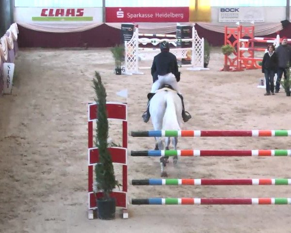 Reitturnier Eppelheim 2016