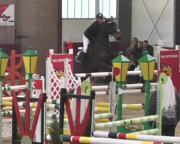 Reitturnier Eppelheim 2016