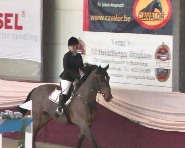 Reitturnier Eppelheim 2016