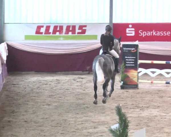 Reitturnier Eppelheim 2016