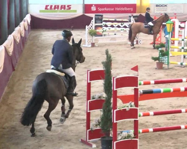 Reitturnier Eppelheim 2016