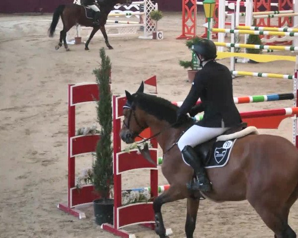 Reitturnier Eppelheim 2016