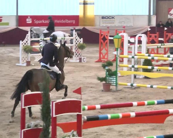 Reitturnier Eppelheim 2016