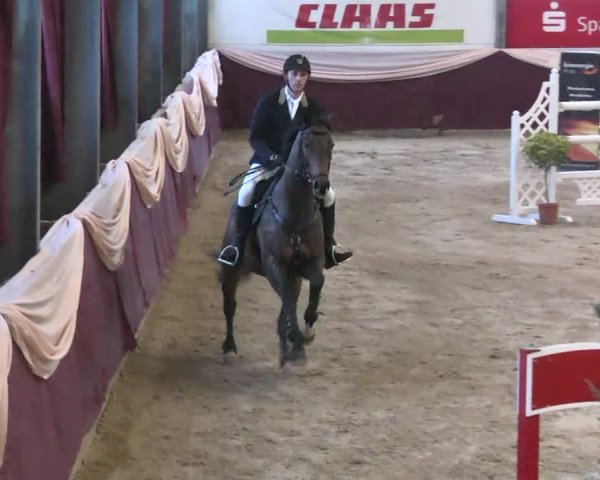 Reitturnier Eppelheim 2016