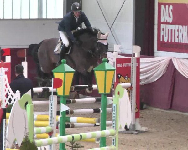Reitturnier Eppelheim 2016