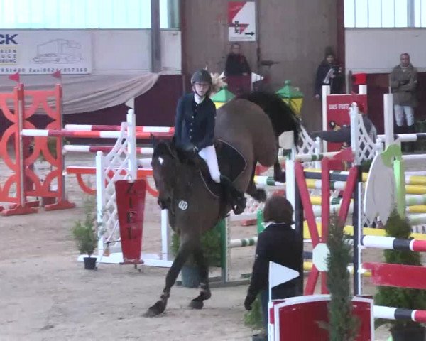 Reitturnier Eppelheim 2016