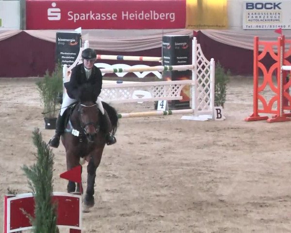Reitturnier Eppelheim 2016