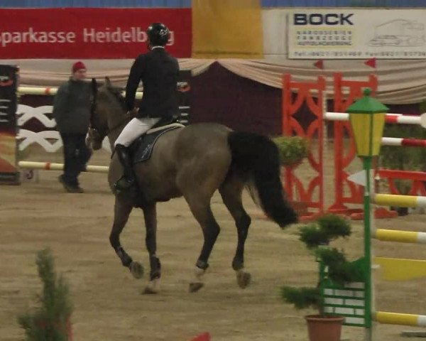 Reitturnier Eppelheim 2016