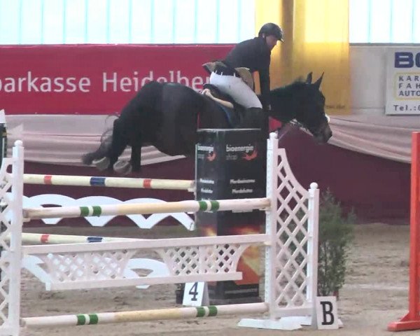 Reitturnier Eppelheim 2016