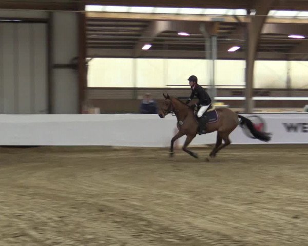 Reitturnier Barlo-Bocholt 2016
