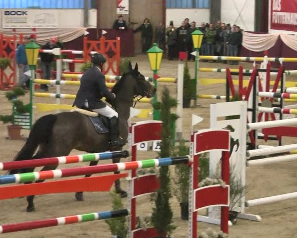 Reitturnier Eppelheim 2016