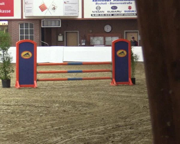 Reitturnier Barlo-Bocholt 2016