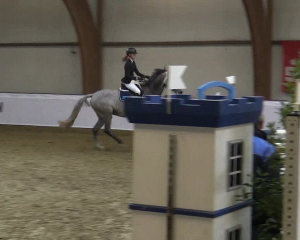Reitturnier Barlo-Bocholt 2016