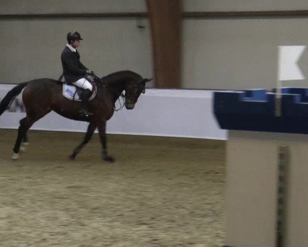 Reitturnier Barlo-Bocholt 2016