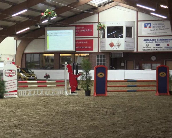Reitturnier Barlo-Bocholt 2016