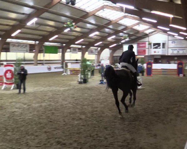 Reitturnier Barlo-Bocholt 2016