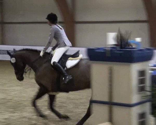 Reitturnier Barlo-Bocholt 2016