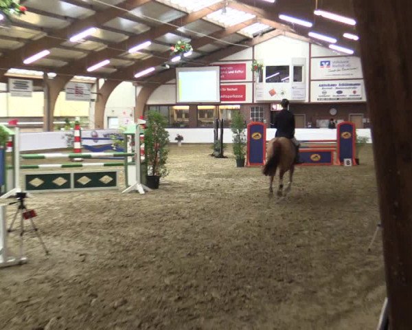 Reitturnier Barlo-Bocholt 2016