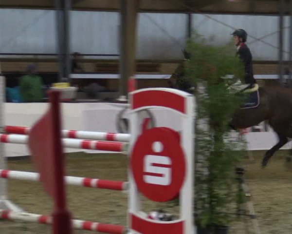 Reitturnier Barlo-Bocholt 2016