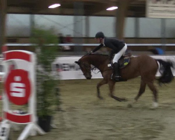 Reitturnier Barlo-Bocholt 2016